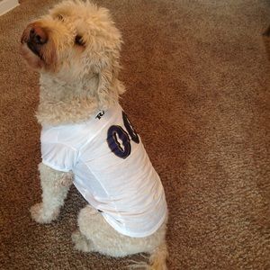 Meet your Posher, Jay